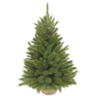SAPIN FOREST FROSTED H60XD46-(840518)